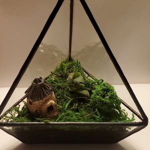 Homemade Terrariums